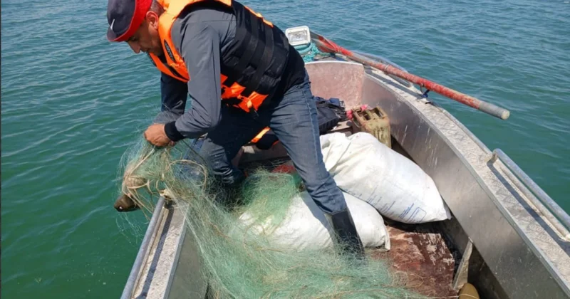 Balıq ovu ilə bağlı QAYDALAR DƏYİŞİR Belə nəzarət ediləcək