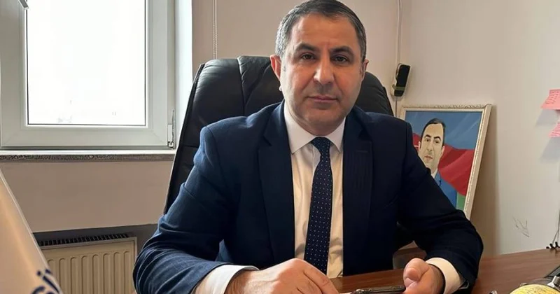 Şvabenin çıxışları Avropa institutlarında Azərbaycan ətrafında davam edən siyasi qarşıdurmanın tərkib hissəsi kimi
