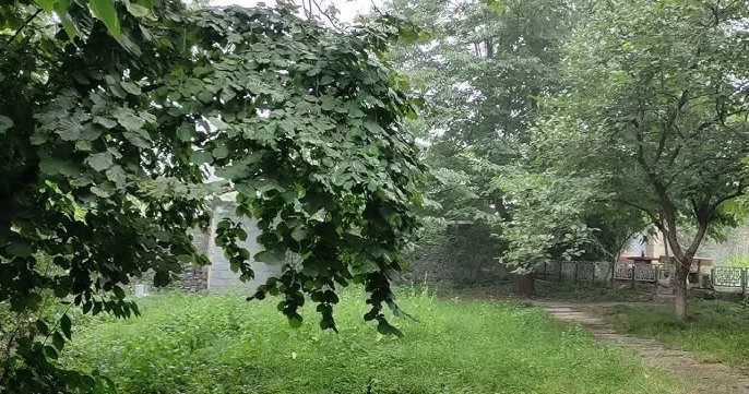 Sabah hava şəraitinin dəyişkən buludlu olacağı, gündüz bəzi yerlərdə yağış yağacağı gözlənilir