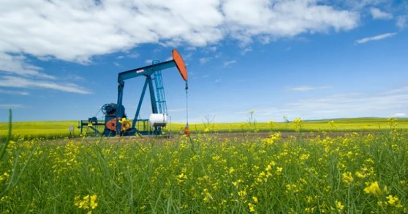 На мировых биржах цены на нефть упали