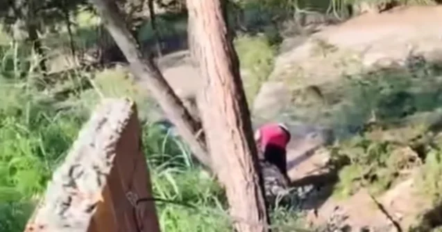 Bu görüntülərlə bağlı cinayət işi açıldı Video
