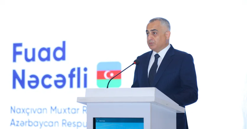 Naxçıvanda 65 hektar faydalı qazıntı yatağı hərraca çıxarılıb