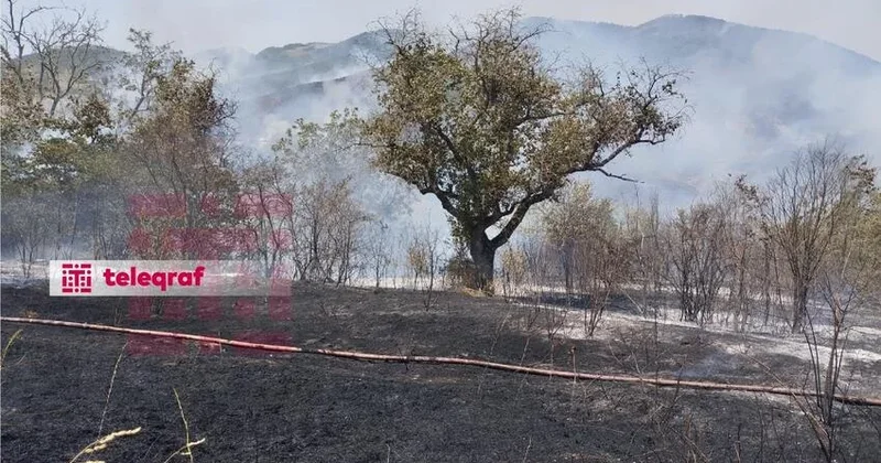 Ağdamda başlayan yanğın Xocəvənd ərazisinə keçdi