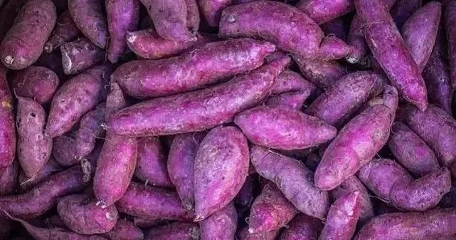 Yaponların uzun ömür sirri tapıldı: Bu tərəvəzi yeyən 100 yaşını görür! KONKRET