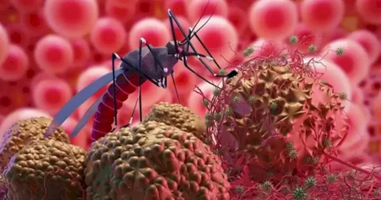 Təhlükəli virus sürətlə yayılır