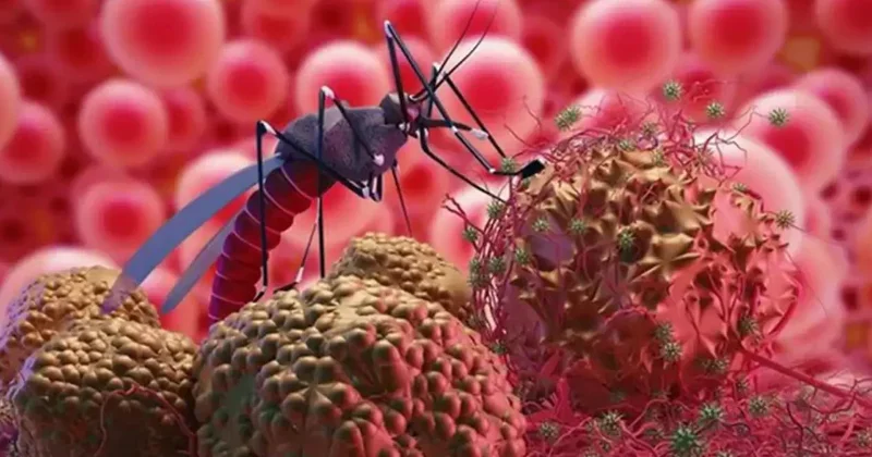 Təhlükəli virus sürətlə yayılır: Ölüm halları artıb