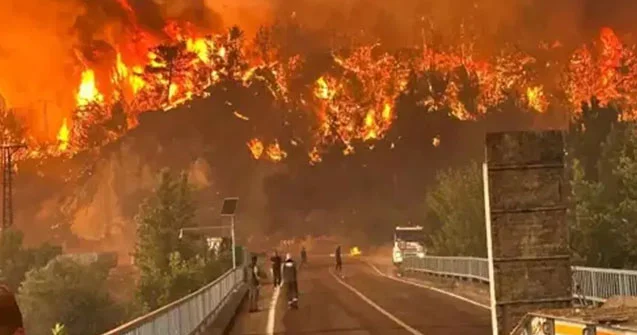 10 meşə işçisinin həlak olduğu yanğın nəzarətə götürüldü