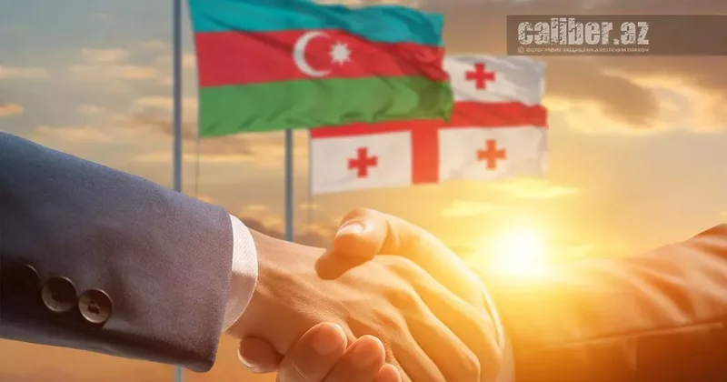 Тбилиси под давлением ЕС, но с опорой на Баку Статья Владимира Цхведиани