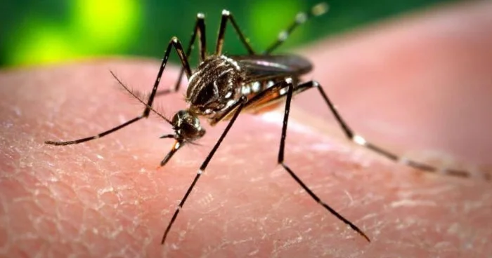 ÜST: “Dünyada təhlükəli virus yayılır” VİDEO