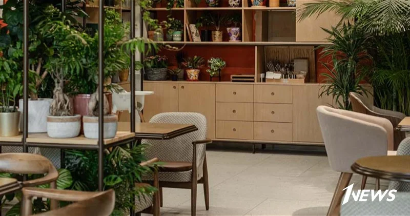 Cafe Botanist: концептуальное кафе в Баку, ориентированное на природу ФОТО