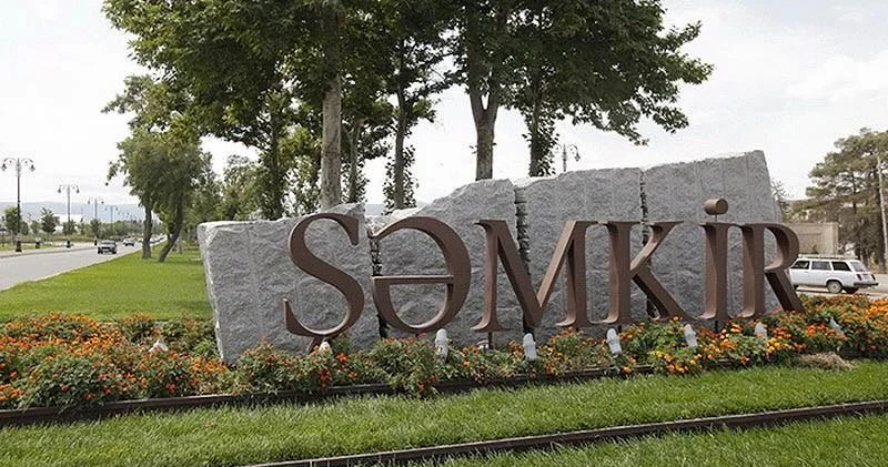 Şəmkirdə 12 yaşlı bacısını bıçaqlayan qızın FOTOSU