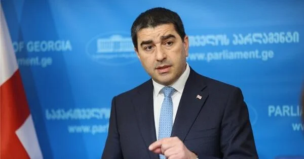 Papuaşvili Gürcüstandakı elektrik kəsintisindən danışdı