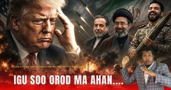 “Tramp heç bir aydın çıxış yolu və üfüq olmadan bataqlıqda ilişib... Qəzəblidir...” “The Wall Street Journal”