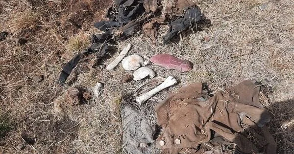 Ağdərədə sümük qalıqları aşkarlandı KONKRET