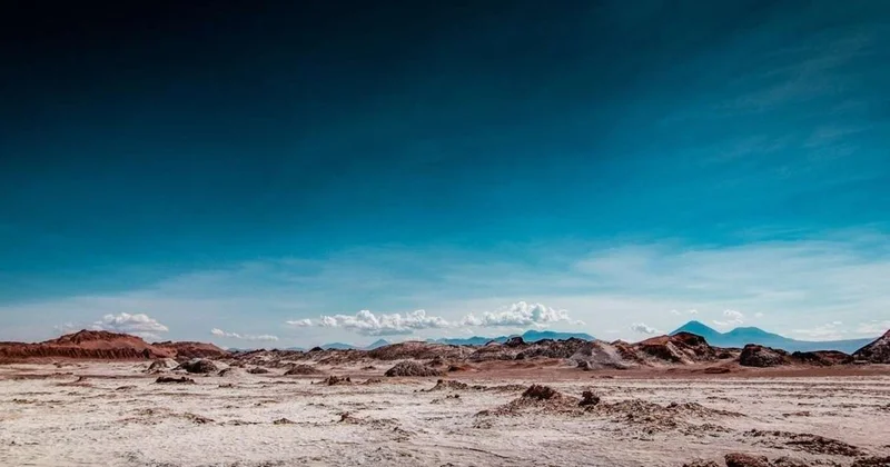 Planetin ən quraq səhrasında möcüzə Yaxın günlərdə çiçəklər açacaq