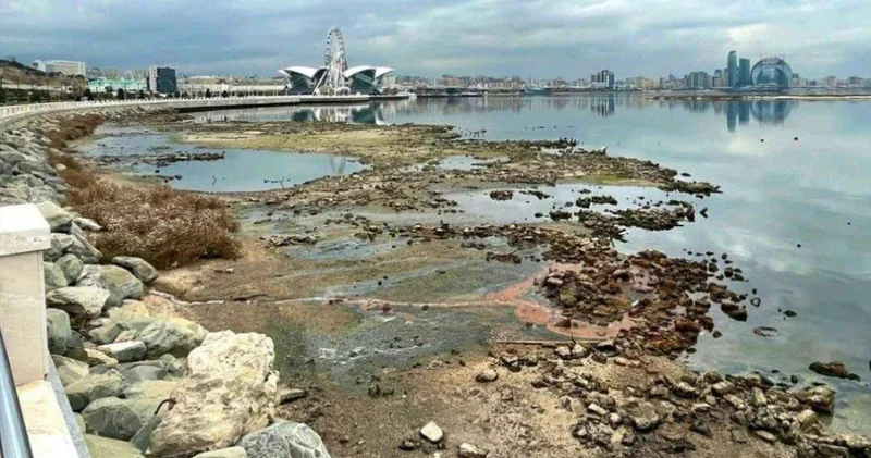 Xəzərdə suyun səviyyəsi 30 metrə kimi düşə bilər Ekoloqdan SOS