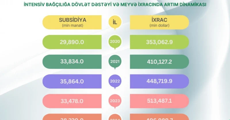 Dövlət dəstəyi və meyvə ixracı: yeni dinamika
