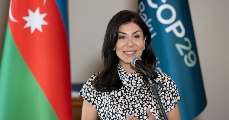 Nigar Arpadarai: Yaşıl keçid yalnız çətinliklər deyil, həm də yeni imkanlar gətirir