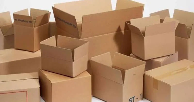 Naxçıvanda kağız və karton istehsalı 78 % artıb