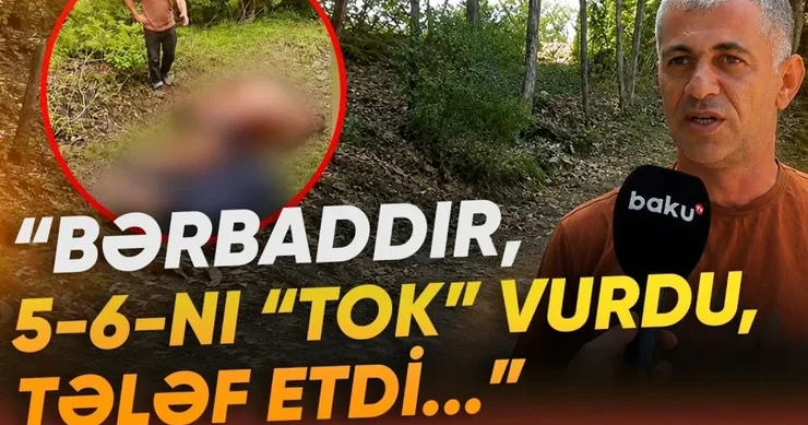 Lerikdə nasaz elektrik xətləri təhlükə saçır: Heyvanları cərəyan vurub VİDEO