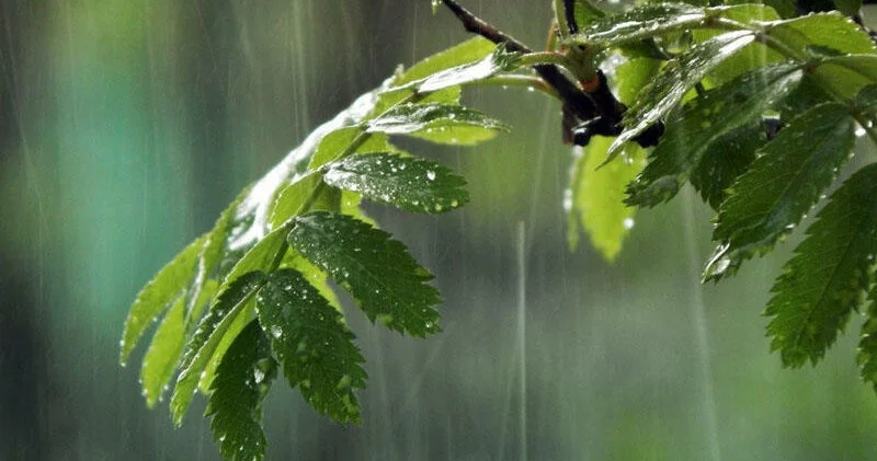 Hava kəskin dəyişir XƏBƏRDARLIQ