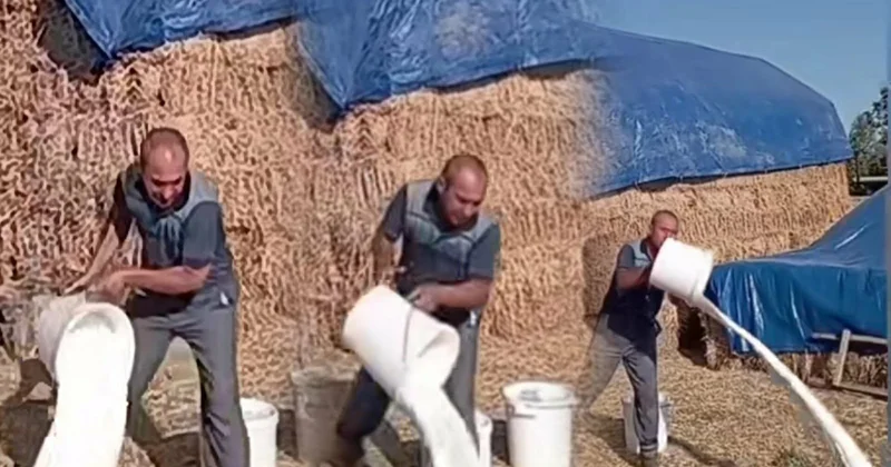 Fermer 3 litr süddən cəmi 45 qəpik: Vasitəçi isə 2 manat 55 qəpik qazanır