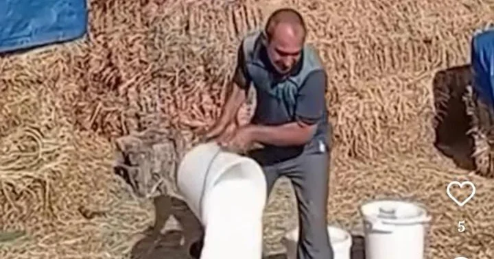 “3 litr südü 45 qəpiyə satır” Fermerlər niyə bu qədər ucuz qiymətə işləyir?