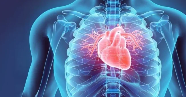 Həkimlər hələ axtarışda: Ürək çatışmazlığının yeni forması
