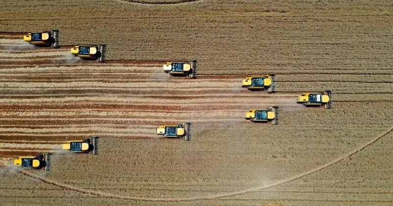 Türkiyə kənd təsərrüfatı məhsullarının istehsalına görə Avropada birinci yerdədir