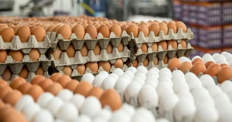 Salmonella epidemiyası: 8 ölkədə yumurtalar satışdan yığışdırılır