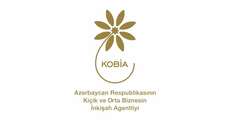 KOBİA планирует рыночные исследования по 10 направлениям