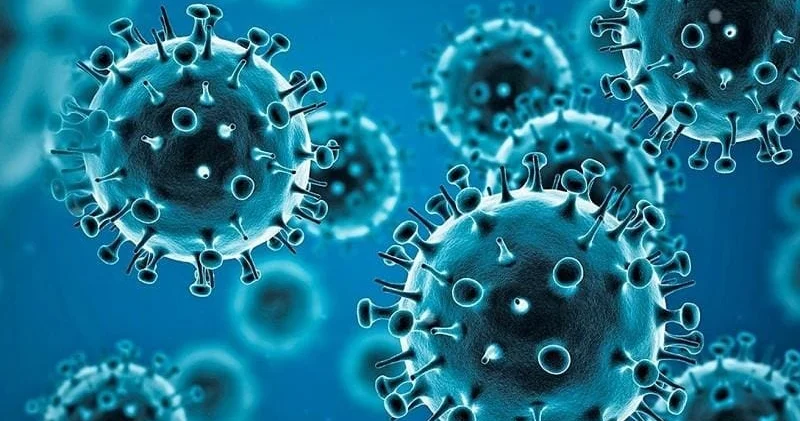 Onişenko Ebola qızdırmasının Rusiyaya gətirilmə ehtimalını qiymətləndirib