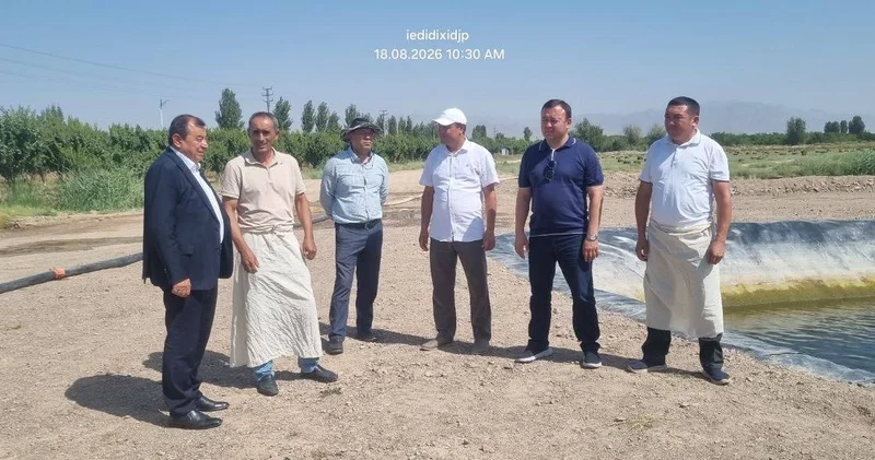 Узбекистан и Таджикистан расширяют научное сотрудничество в сфере выращивания хлопка