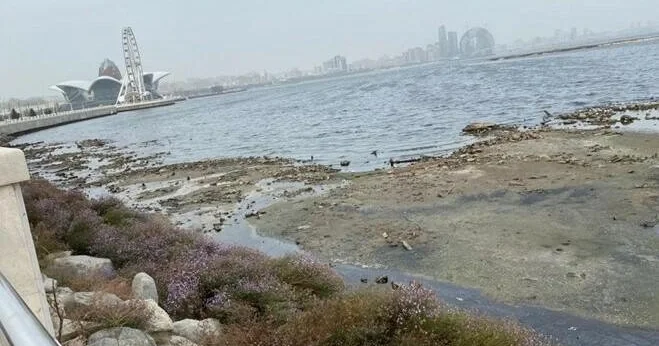 Xəzərin səviyyəsinin azalması bu ciddi fəsadlara səbəb ola bilər