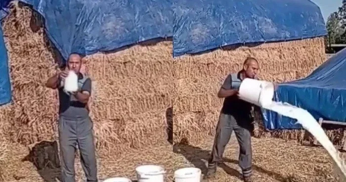 Südü yerə tökən fermerə nazirlikdən reaksiya VİDEO