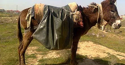 “Köhnə palanların içini töküb baş qatmaqla eşşəklərimizi palçıqdan çıxara biləcəyikmi?..”