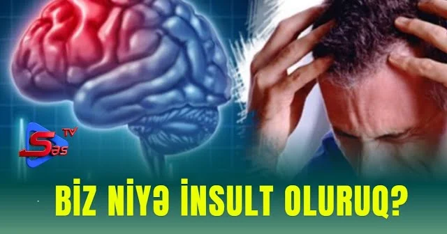 Biz niyə insult oluruq?
