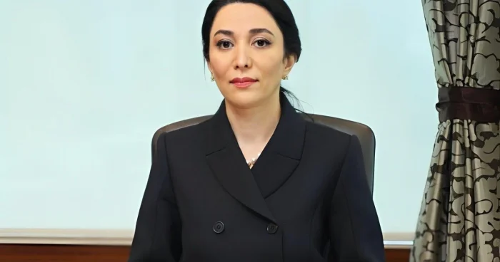Ombudsmanın illik məruzəsinə Milli Məclisin plenar iclasında baxılacaq