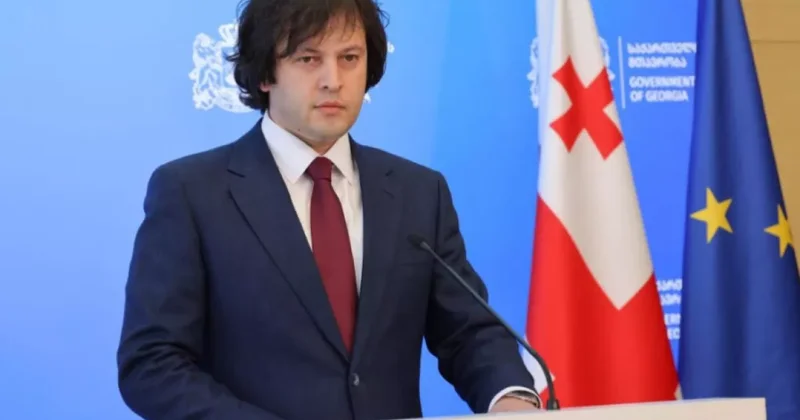 Кобахидзе обвинил послов ФРГ и Великобритании в грубом нарушении принципа демократии