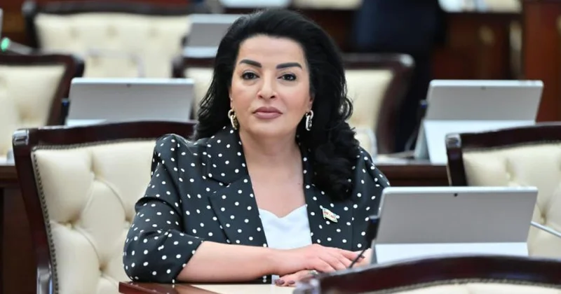 Anım Günü eyni anda həm qürur, həm də ehtiram günüdür Millət vəkili