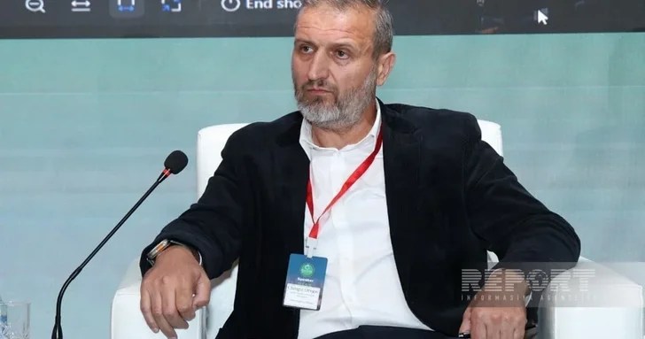 TotalEnergies предлагает единое окно для решения проблем с разрешениями в сфере ВИЭ Азербайджана