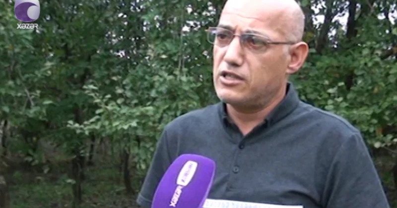 Direktor müavini oğlunu döyən şagirdə və xadiməyə əl qaldırdı: Lənkəranda məktəbdə baş verən hadisənin TƏFƏRRÜATI