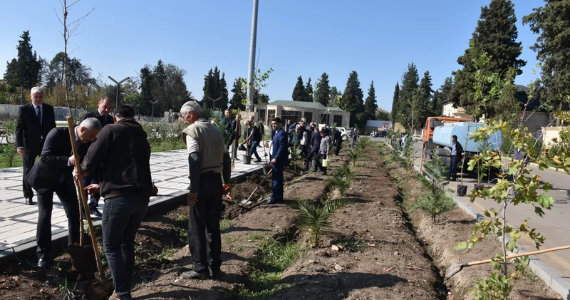 İmişlidə Anım Gününə həsr olunmuş ağacəkmə aksiyası Fotolar