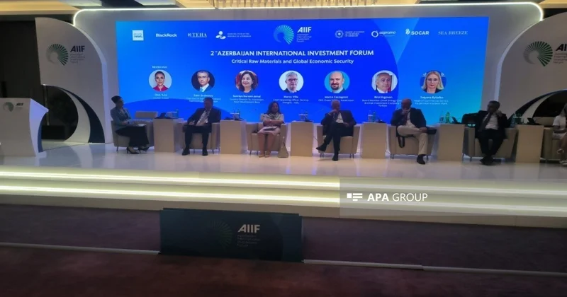 AzerGold раскрыл планы по созданию регионального центра критических минералов