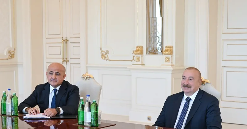 Qlobal investisiya nəhənginin rəhbəri Prezidentin qəbulunda GÖRÜNTÜ