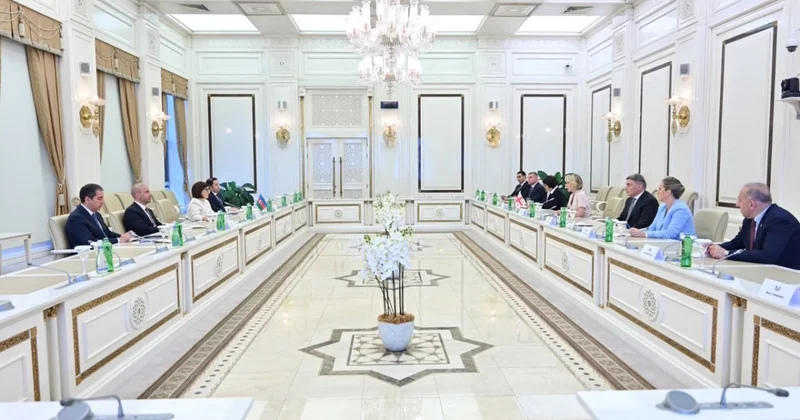 Nino Tsilosani Gürcüstanın ərazi bütövlüyünə verdiyi dəstəyə görə Azərbaycana təşəkkür edib