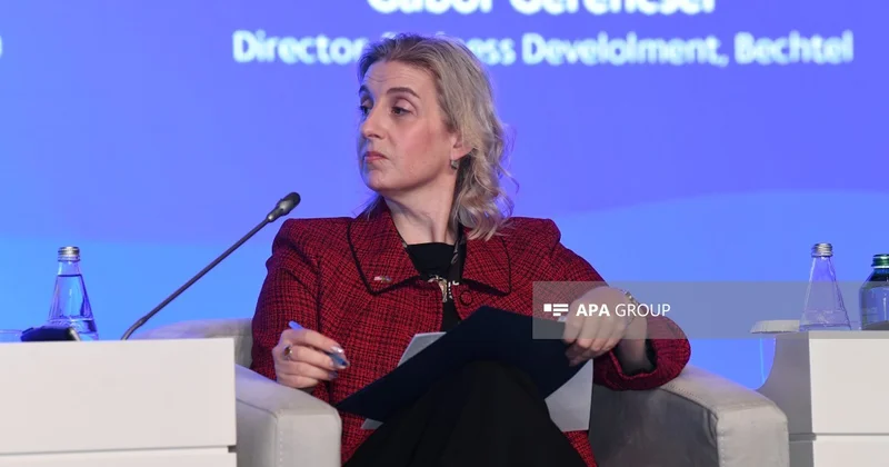 Emi Karlon: ABŞ TRIPP i geostrateji risklərin azaldılması baxımından mühüm vasitə kimi qiymətləndirir