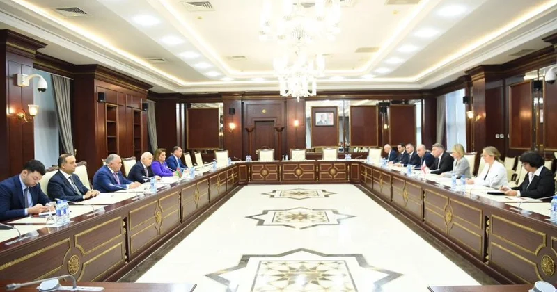Milli Məclisdə Gürcüstan parlamentinin nümayəndə heyəti ilə görüş keçirilib