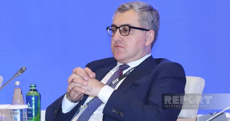 Юсиф Абдуллаев: Странам ОТГ, включая Азербайджан, нужно активнее использовать многосторонние платформы
