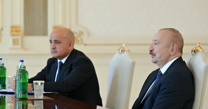 Prezident dünyanın aparıcı investisiya şirkətlərindən birinin baş icraçı direktorunu qəbul edib FOTO